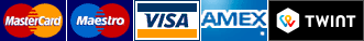 Interventi di Assistenza Informatica, Consulenze, i Corsi e le Lezioni personalizzate Pc Mac Iphone Ipad possono essere pagate con Visa Mastercard Maestro American Express